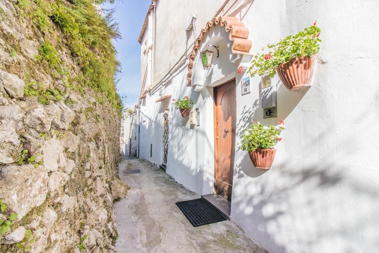 Guest house Via Col Vento